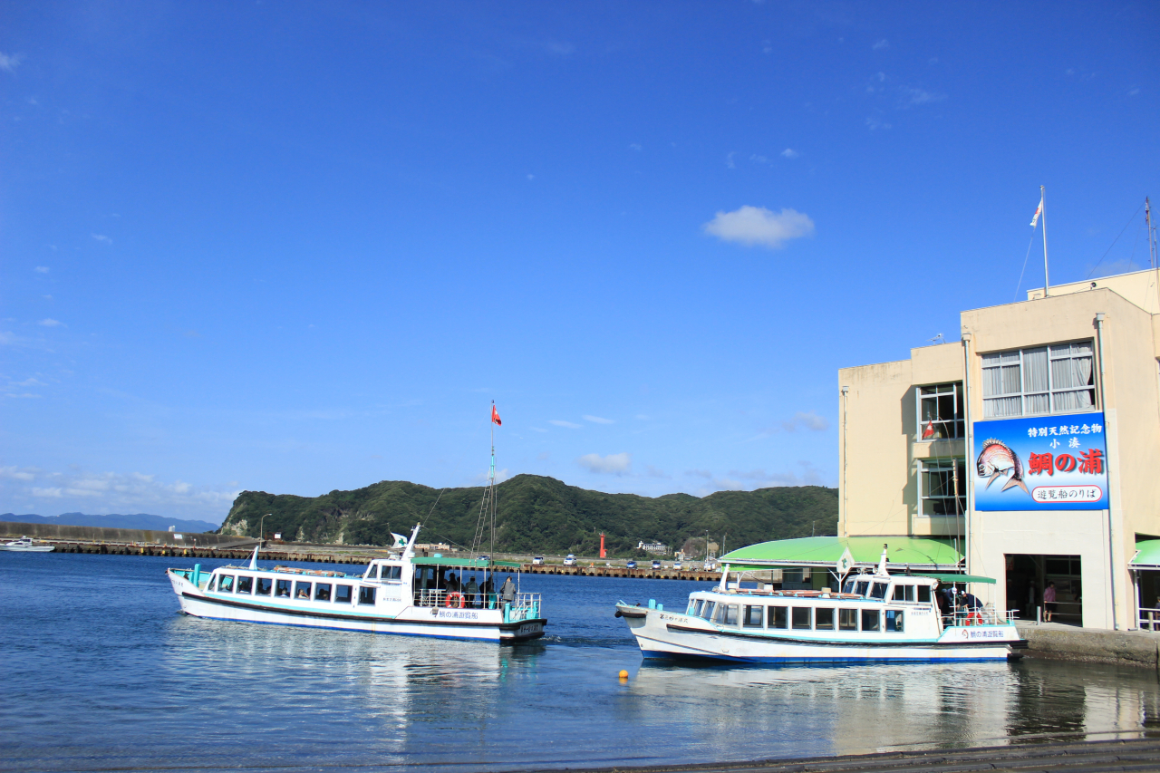 鯛の浦(妙の浦遊覧船提供)
