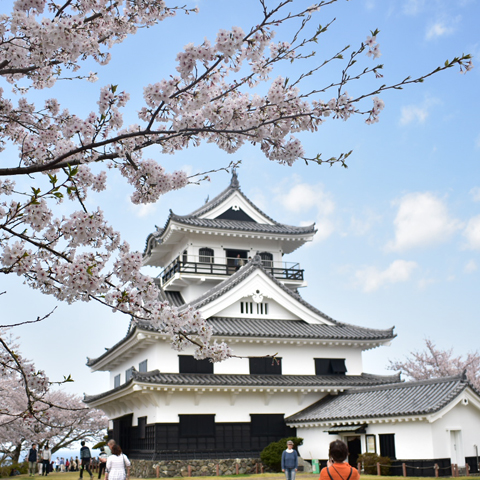 館山城