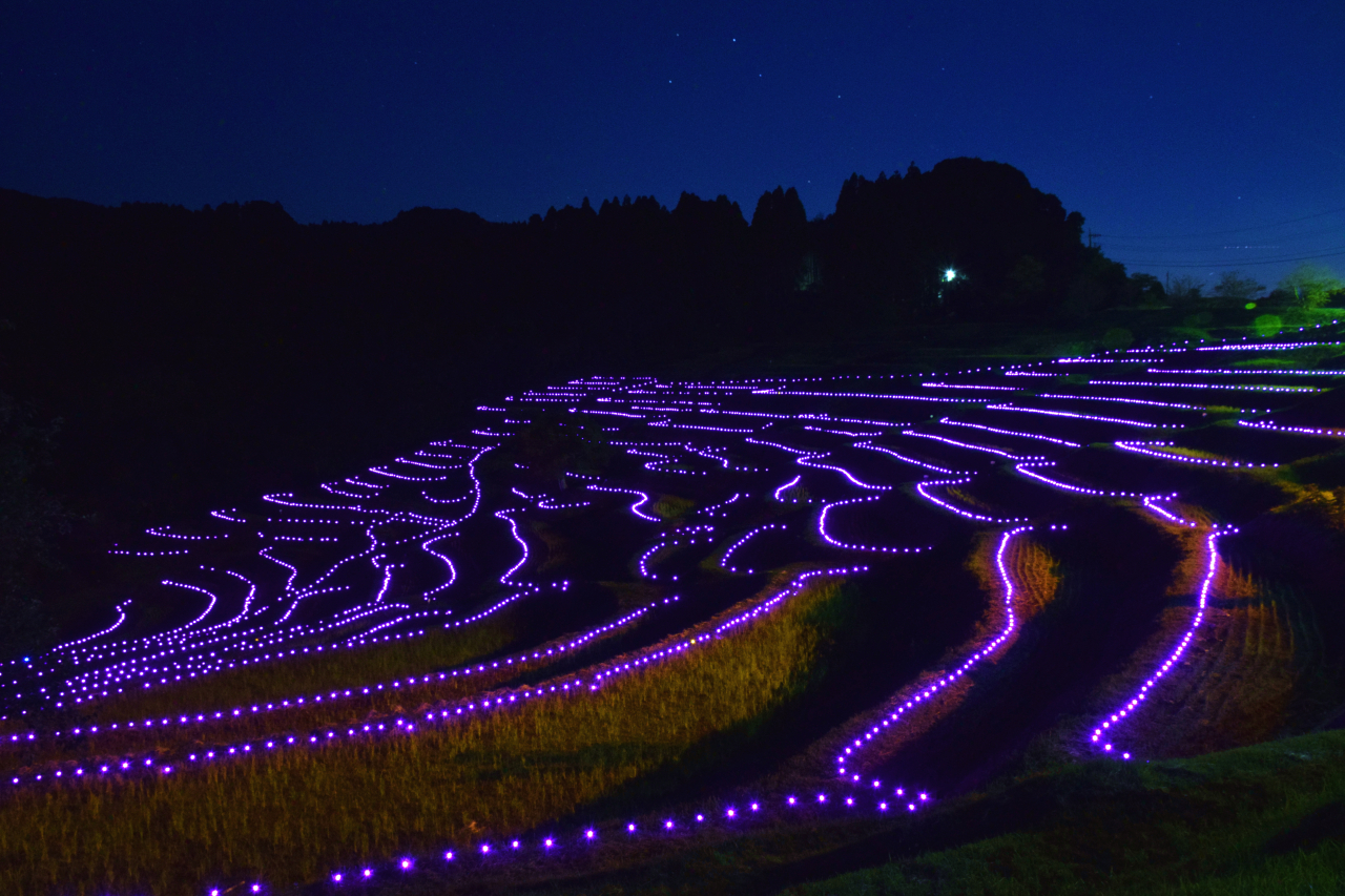 【鴨川市】大山千枚田　棚田のあかり